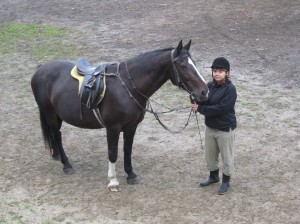 Obrazek